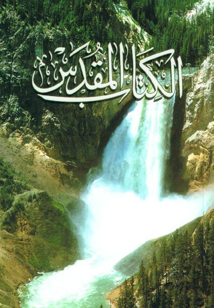 Arabic Bible (C-10)